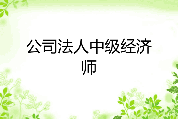 公司法人中级经济师