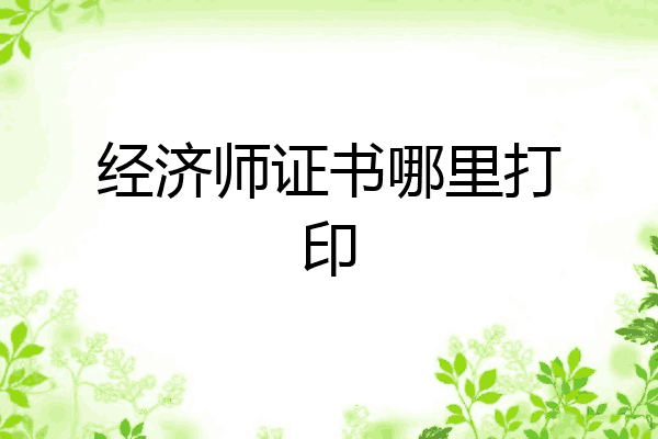 经济师证书哪里打印