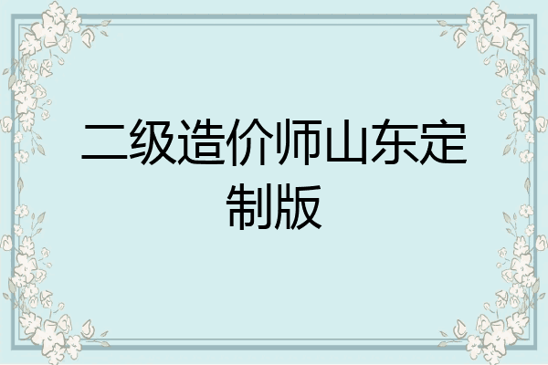 二级造价师山东定制版