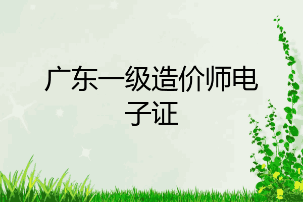 广东一级造价师电子证