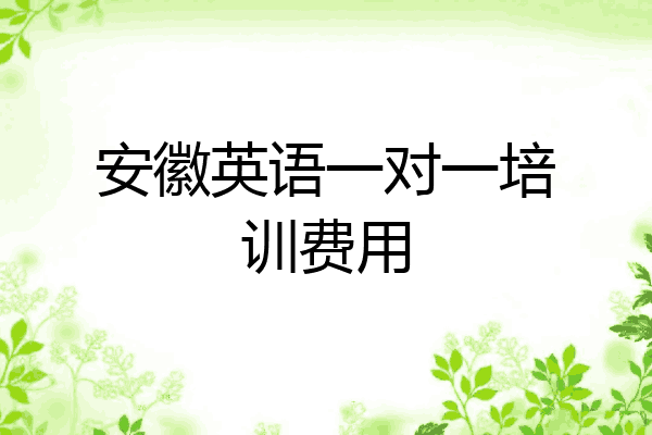 安徽英语一对一培训费用