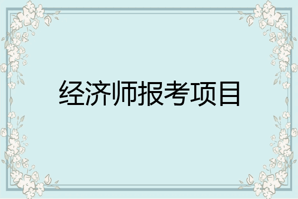 经济师报考项目