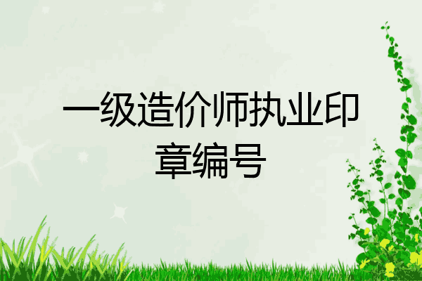 一级造价师执业印章编号