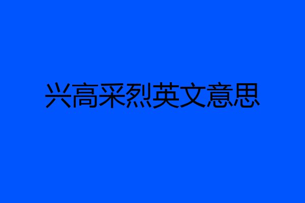 兴高采烈英文意思
