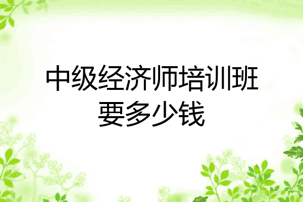 中级经济师培训班要多少钱