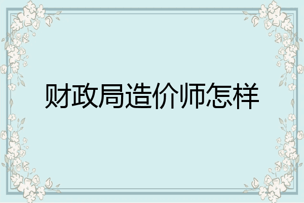 财政局造价师怎样