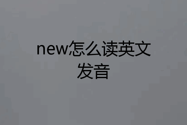 new怎么读英文发音