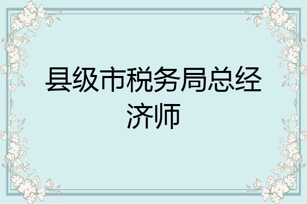 县级市税务局总经济师