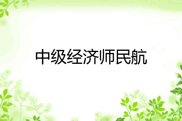 中级经济师民航