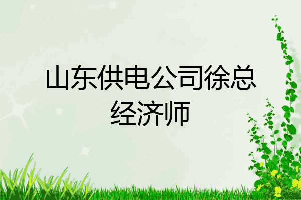 山东供电公司徐总经济师