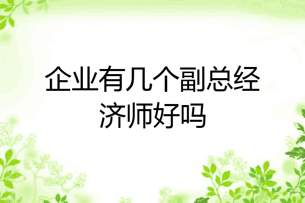 企业有几个副总经济师好吗