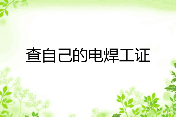 查自己的电焊工证