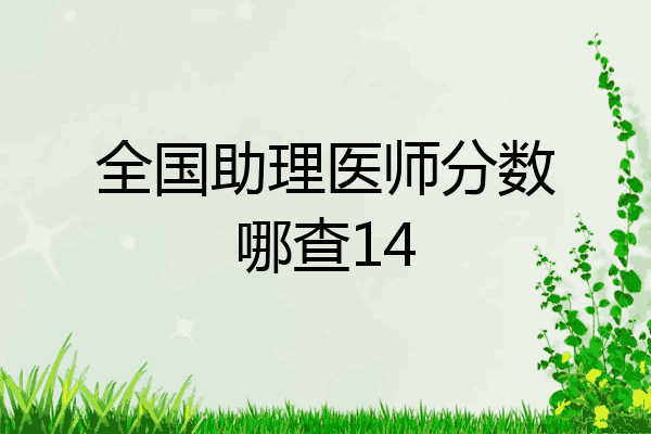 全国助理医师分数哪查14