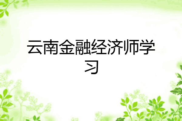 云南金融经济师学习