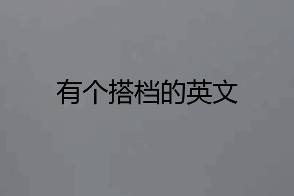 有个搭档的英文