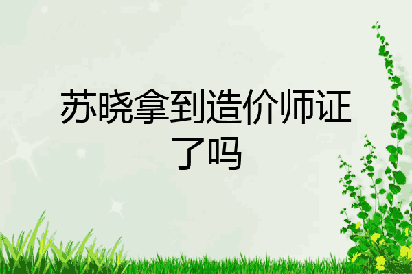 苏晓拿到造价师证了吗