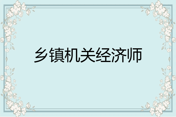 乡镇机关经济师