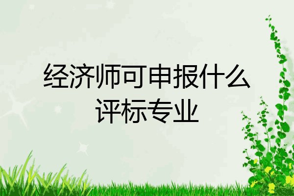 经济师可申报什么评标专业