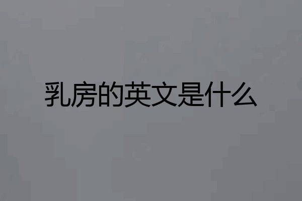 乳房的英文是什么