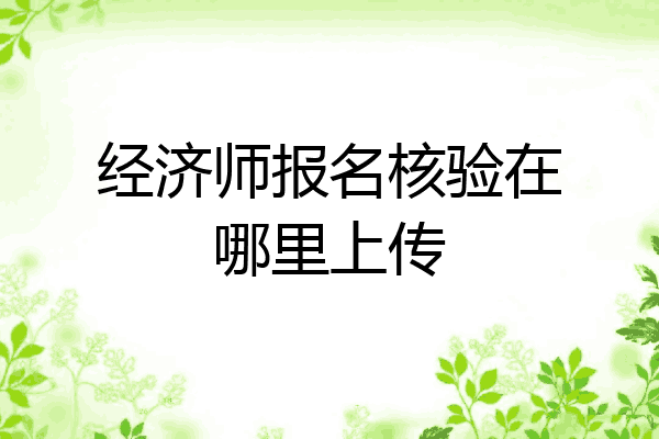 经济师报名核验在哪里上传