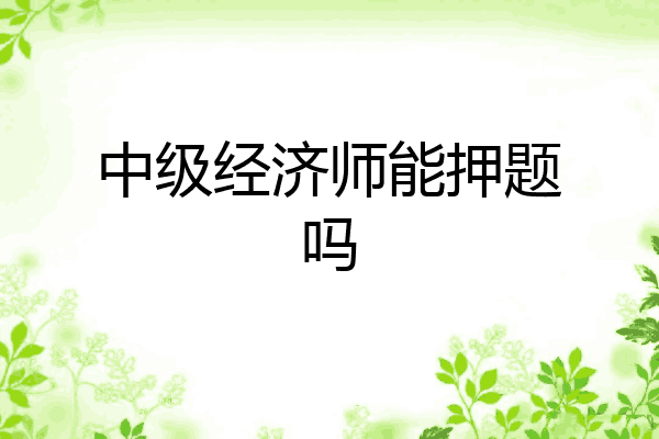 中级经济师能押题吗