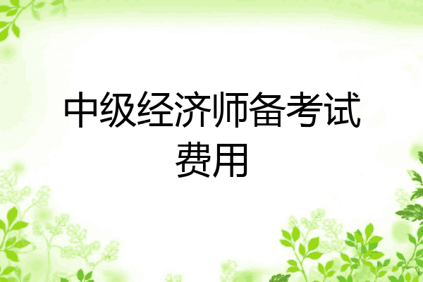 中级经济师备考试费用