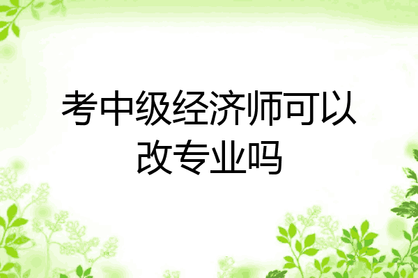 考中级经济师可以改专业吗
