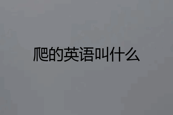 爬的英语叫什么