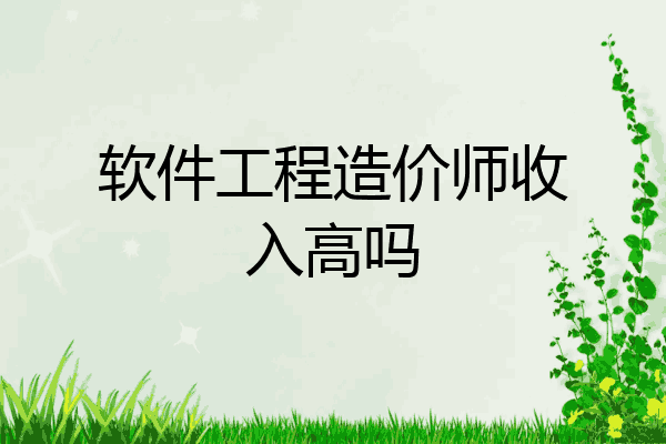 软件工程造价师收入高吗