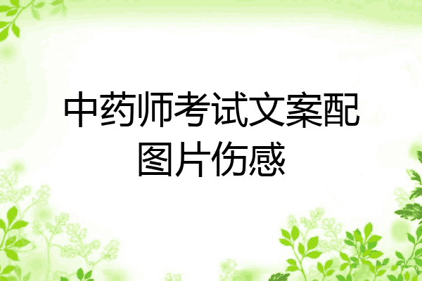 中药师考试文案配图片伤感