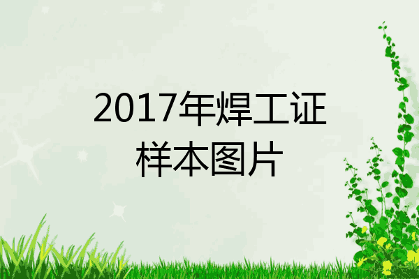 2017年焊工证样本图片