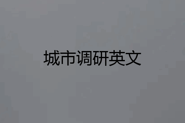城市调研英文