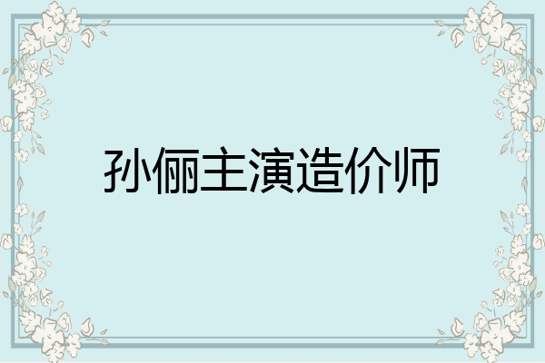 孙俪主演造价师