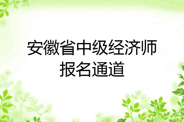 安徽省中级经济师报名通道