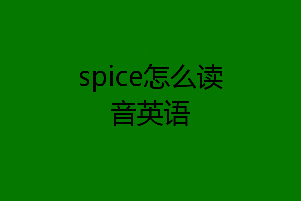 spice怎么读音英语