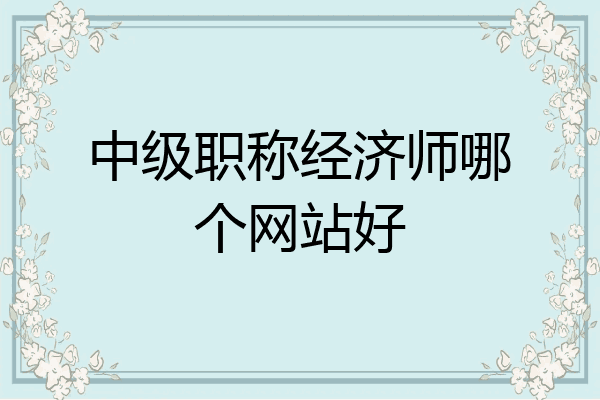 中级职称经济师哪个网站好