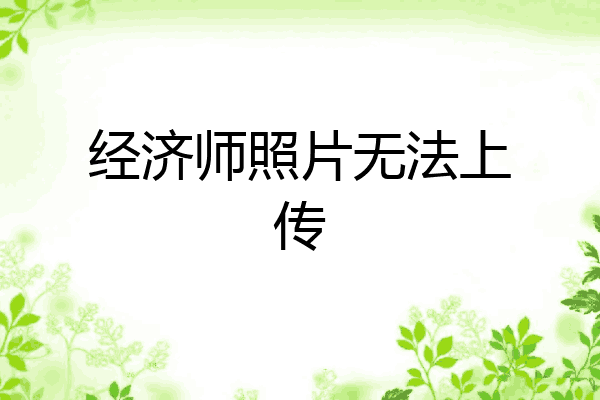 经济师照片无法上传