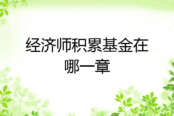 经济师积累基金在哪一章