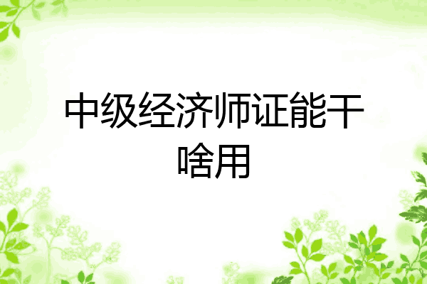 中级经济师证能干啥用