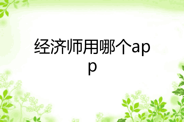 经济师用哪个app