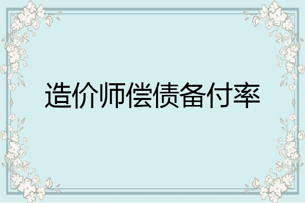 造价师偿债备付率