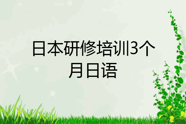 日本研修培训3个月日语