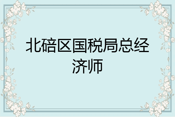 北碚区国税局总经济师