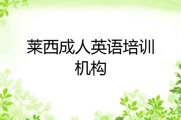 莱西成人英语培训机构