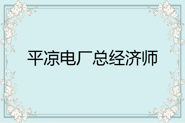 平凉电厂总经济师