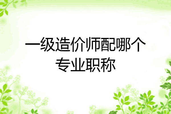 一级造价师配哪个专业职称