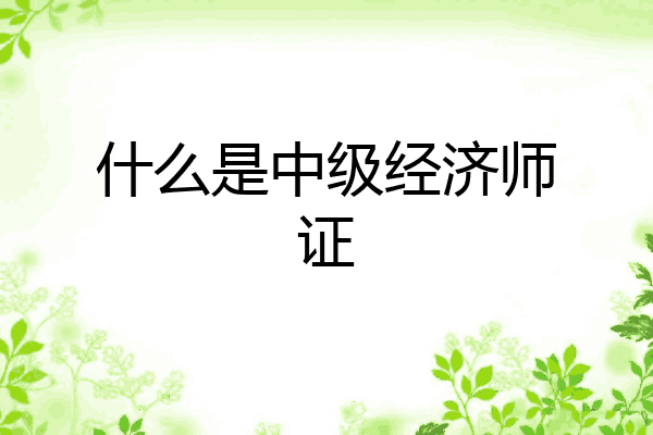 什么是中级经济师证