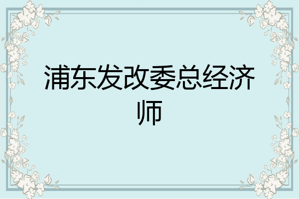 浦东发改委总经济师