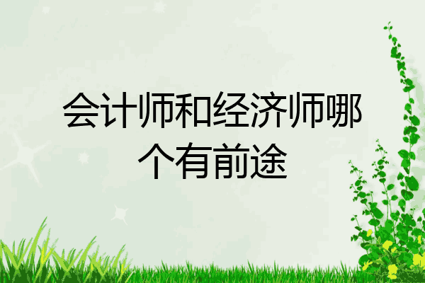 会计师和经济师哪个有前途