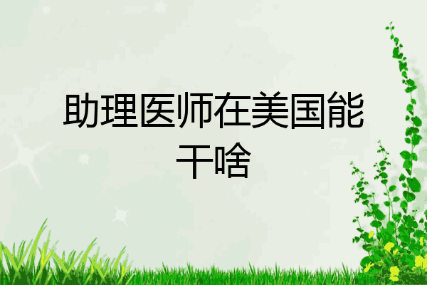助理医师在美国能干啥